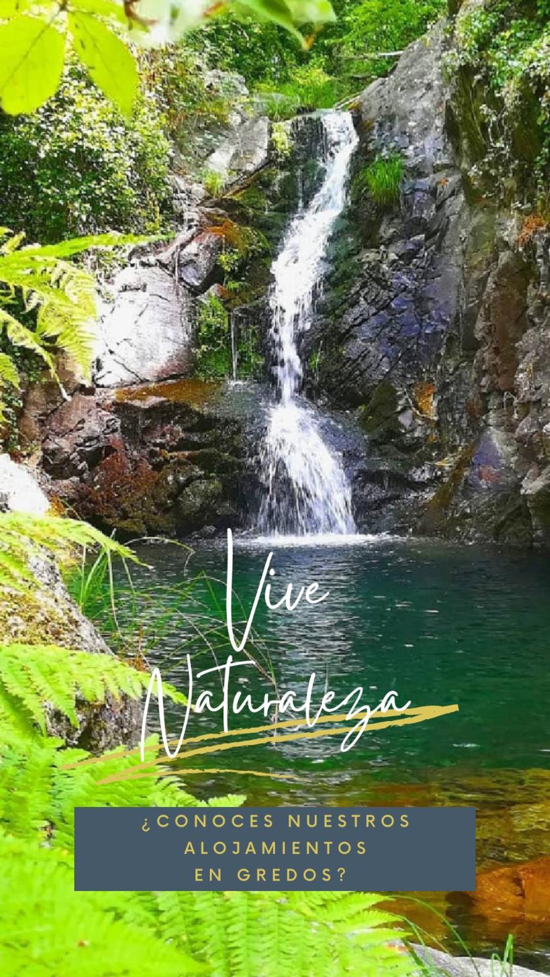 La Albarea By #Cherrygredos El Arenal  Bagian luar foto